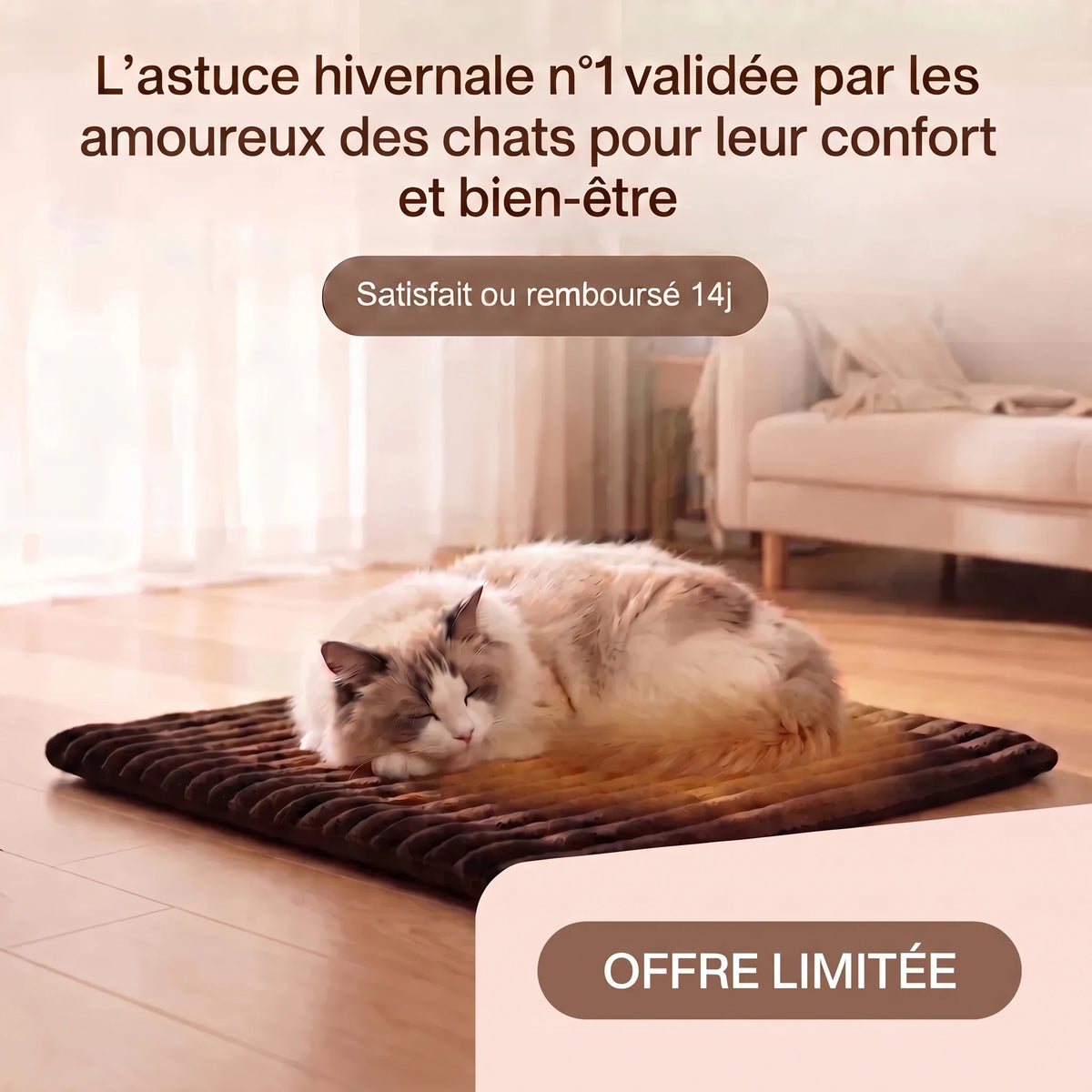 https://cdn.dropmagic.ai/medias/a6a21e52-d0e1-47d6-bb96-711403c79a67.webp